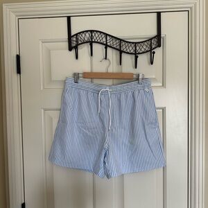 SHEIN Light Blue & White Striped Men's Swim Trunks